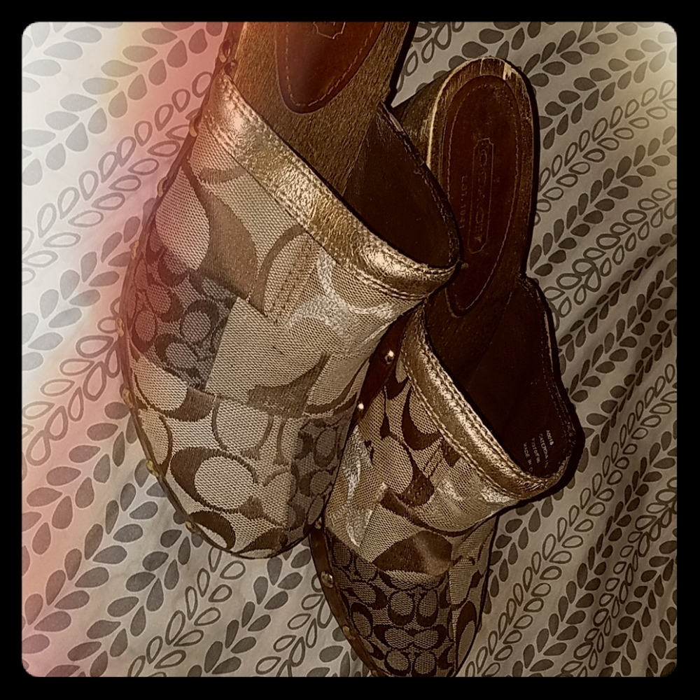 Platform Clog Shoes